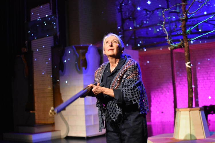 Theaterproject voor ouderen (65+) 